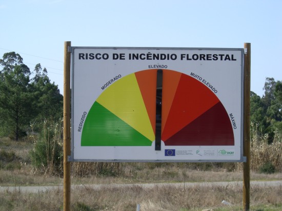 Incendion Florestal